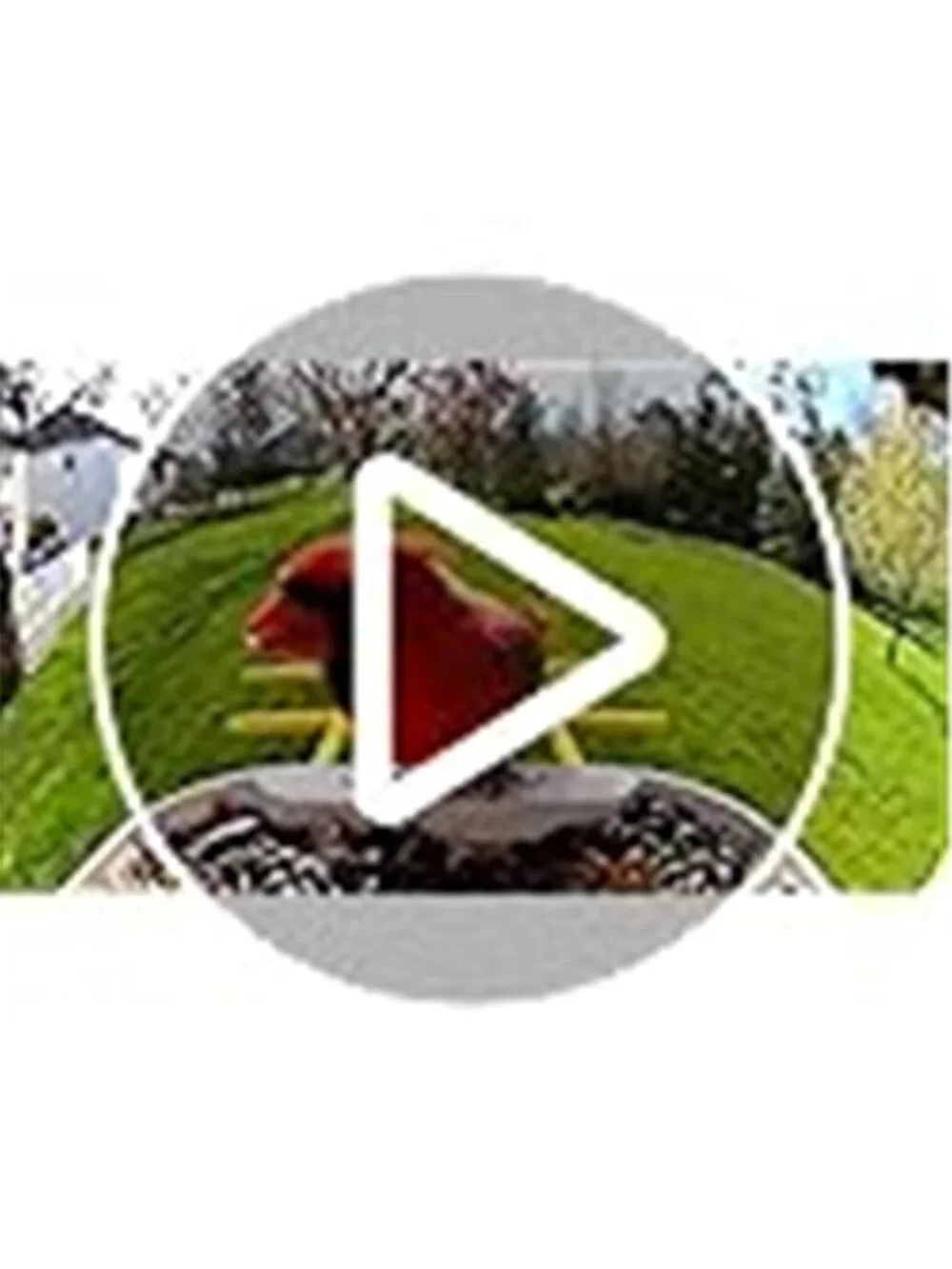 New TUC Bird Feeder with Camera 2K HD Live with 32GB Card Auto Detect